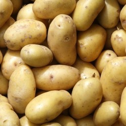 Bulvės mini, 1 kg