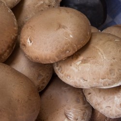 Grybai Portabelos, 500 g