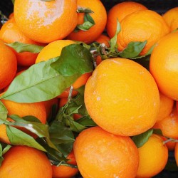 Apelsinai su lapeliais (chemiškai neapdoroti), 2 kg