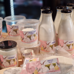 Ožkų pieno jogurtas, 500 ml