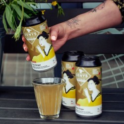 "Genio" kombucha su yuzu citrina ir imbieru, 440 ml