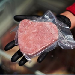 Gelsvauodegių tunų kepsniai Exclusive (šaldyti), 1 kg