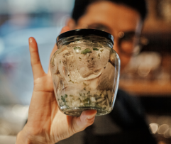 Silkutė su medumi ir petražolėmis (be acto), 500 g