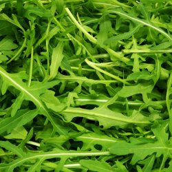 Gražgarstės / Rukola salota, 125 g