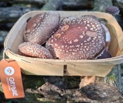 Grybai ŠITAKE, 250 g