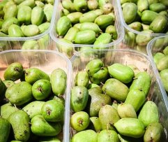 Lietuviškos aktinidijos, 500 g