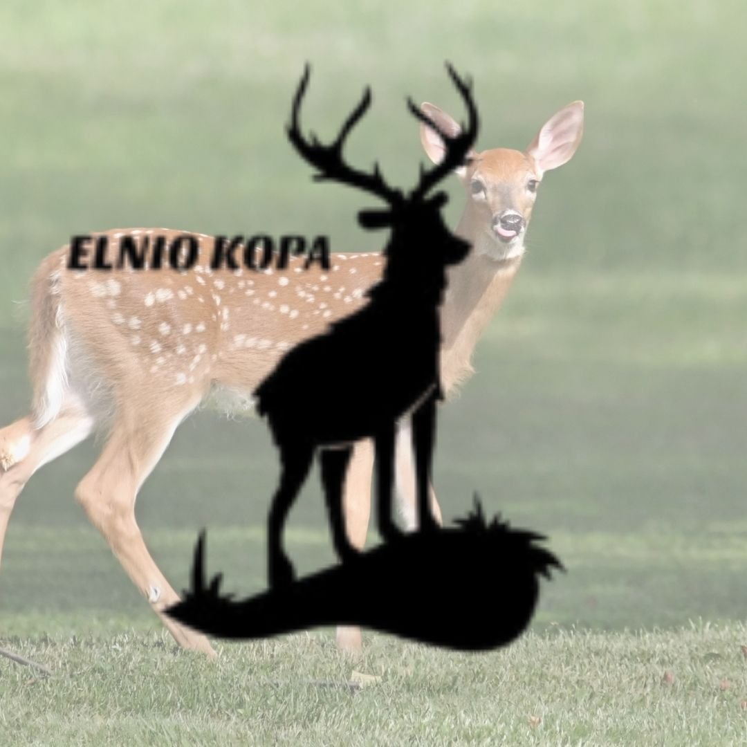 MB "ELNIO KOPA"