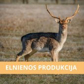 MB "ELNIENOS PRODUKCIJA"