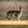 MB "ELNIENOS PRODUKCIJA"